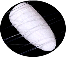 Load image into Gallery viewer, Spider Gel Clear