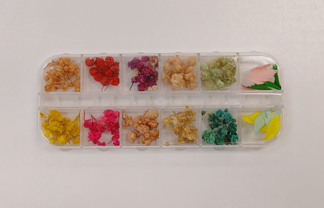 Pressed Dried Flower - Mixture