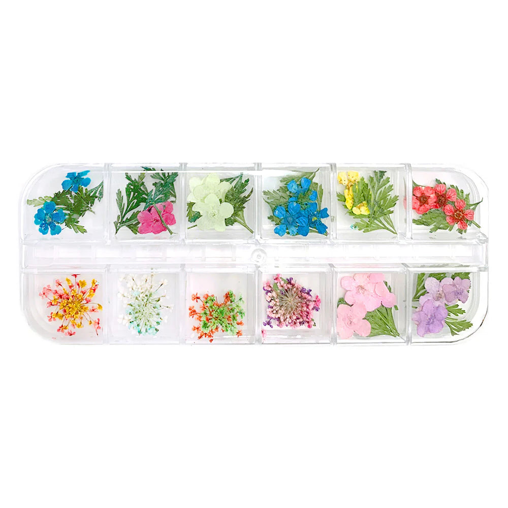 Pressed Dry Natural Flower & Leaf Set Dainty