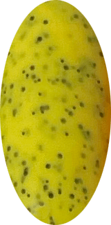 Ice Cream Gel Polish